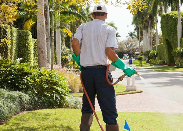 About Hornbrook CA Pest Control